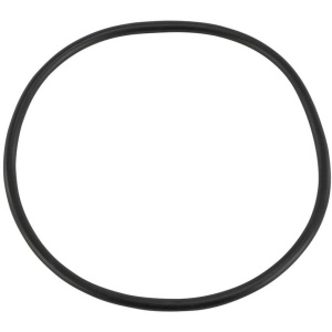 O-ring voor filterdeksel Pentair Azur filterset