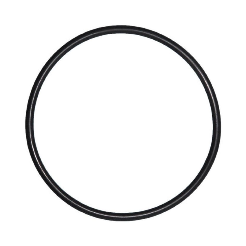 O-Ring voor Deksel Pentair Superflo zwembadpomp
