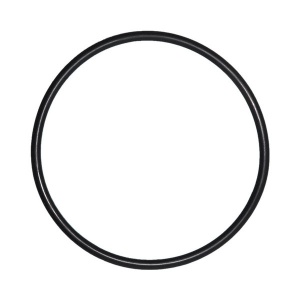 O-Ring voor Deksel Pentair IntelliFlo Whisperflo zwembadpomp