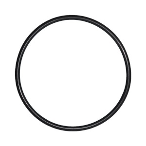 O-Ring voor Deksel Speck Badu Top zwembadpomp